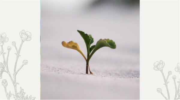 Resilience