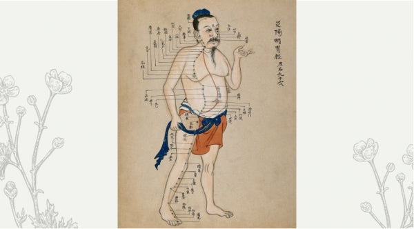 Psyche & Subtle PART FOUR: Biofield Therapies and TCM