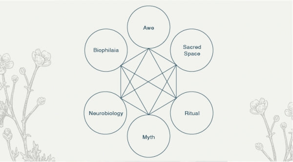 Psyche & Subtle PART THREE: The Spiritual Dimension of Scent