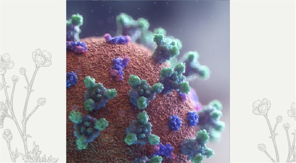Terrain or Germ Theory?