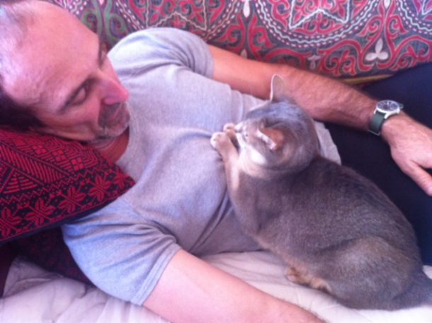 Using essential oils safely with cats