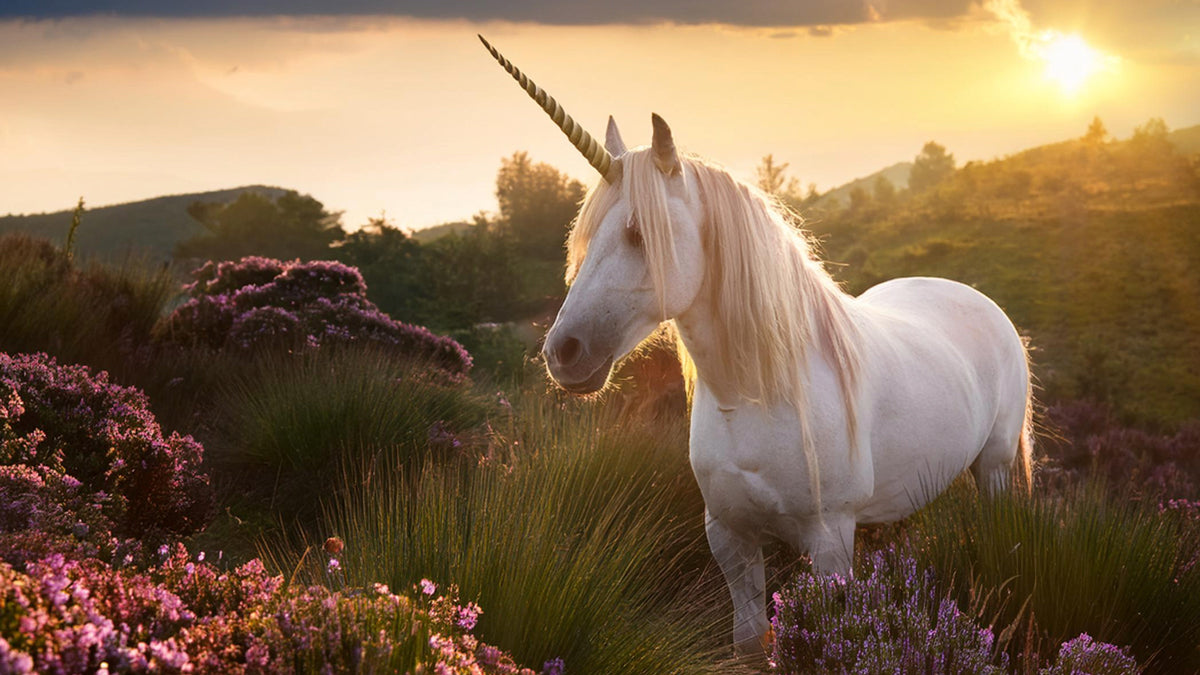 The Scent of a Unicorn Create your own essential oil blend The Scent of a Unicorn Create your own essential oil blend
