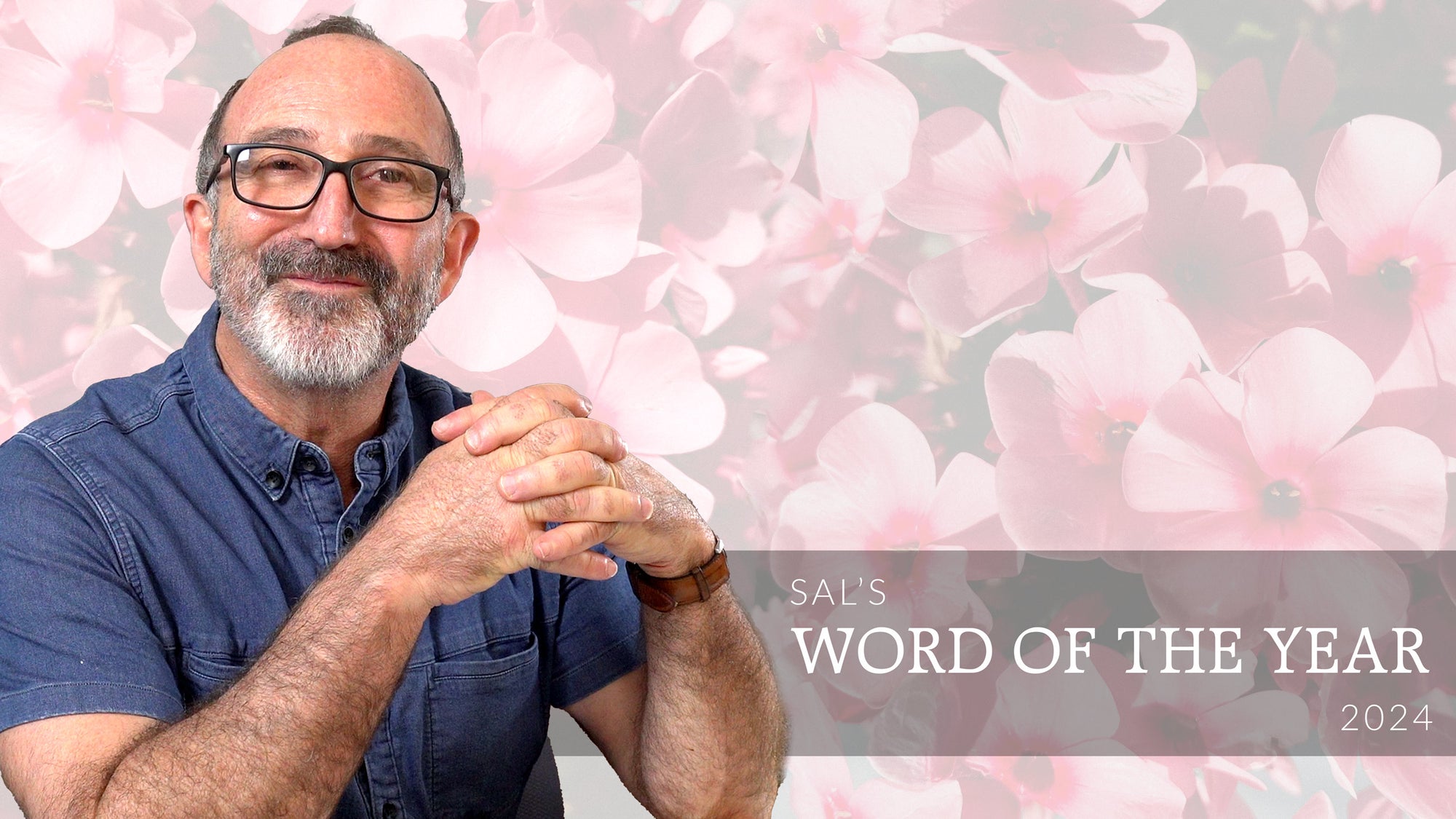 Sal’s 2024 Word of the year and essential oil of the year