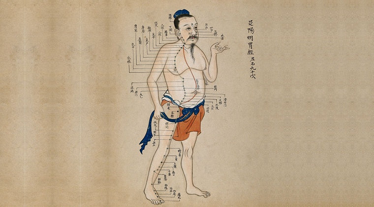 Aromatherapy and the Five Elements Masterclass