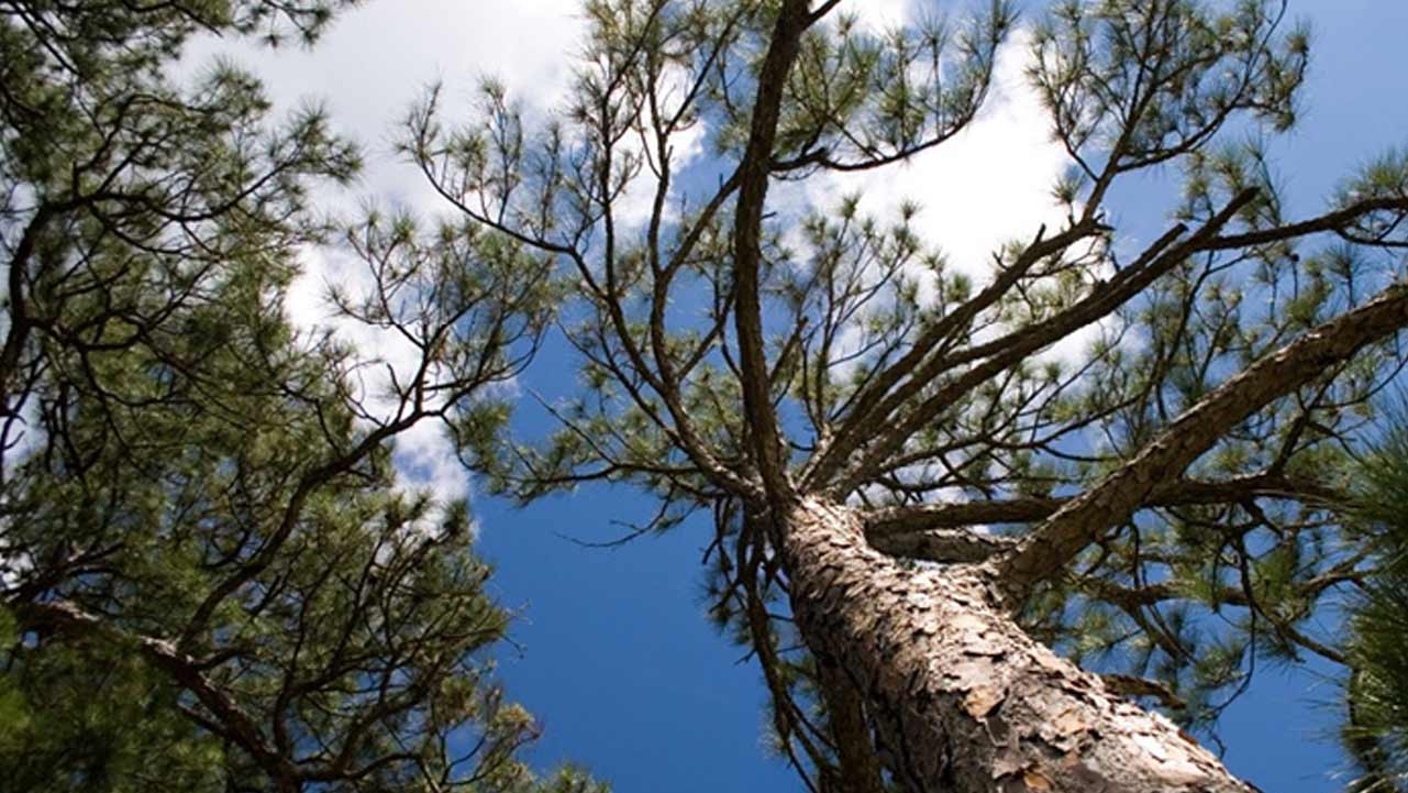 Healing the Spirit Masterclass