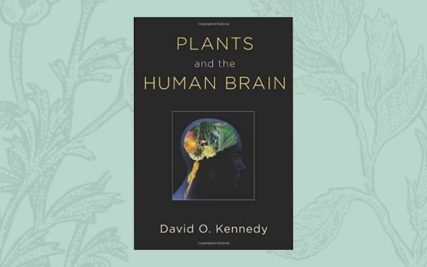 Plants and the Human Brain