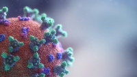 Aromatherapy and Influenza Viruses
